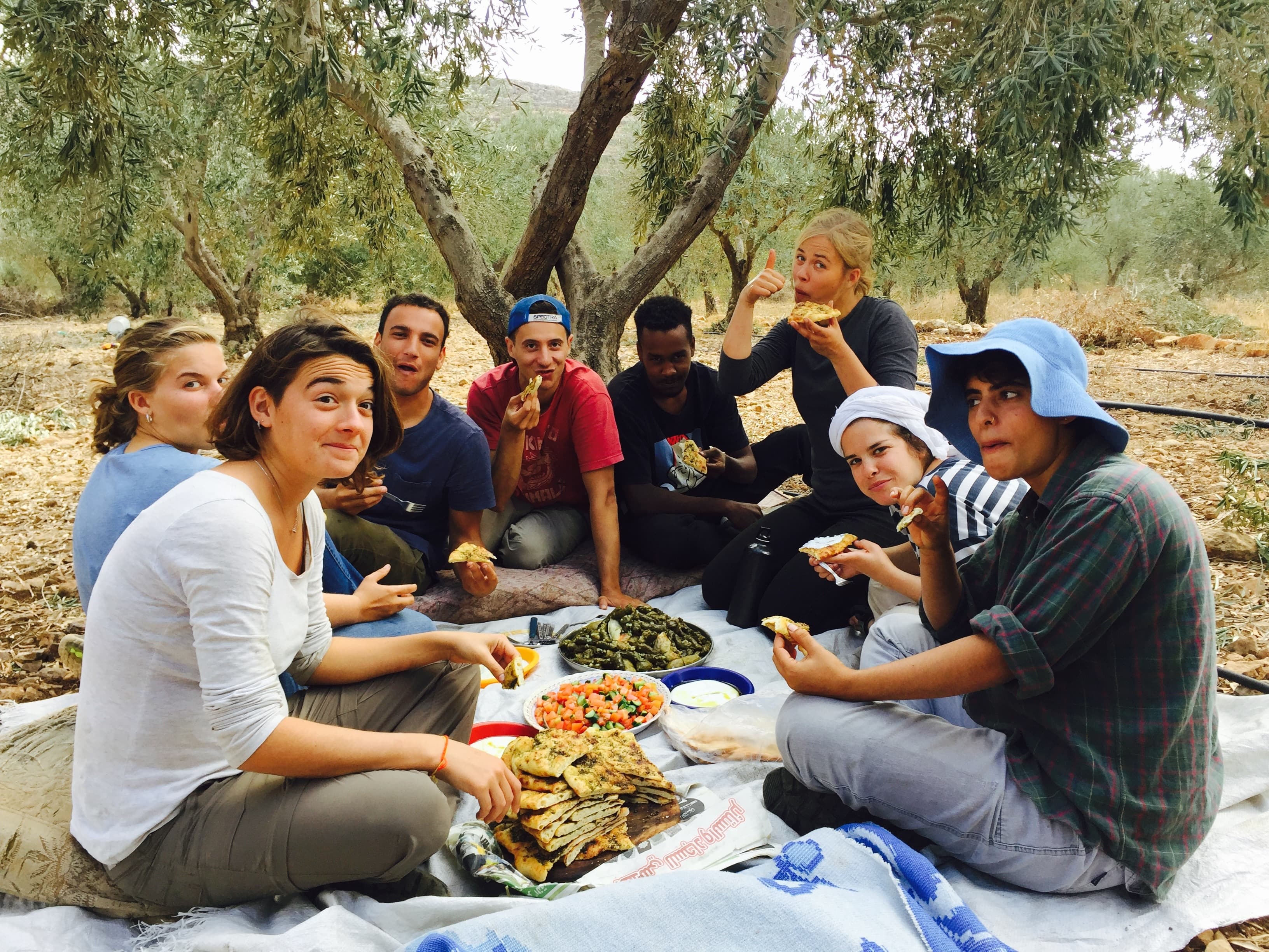 Harvest volunteers in the groves
